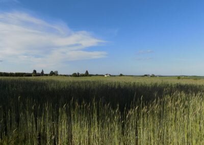 DSCN0694