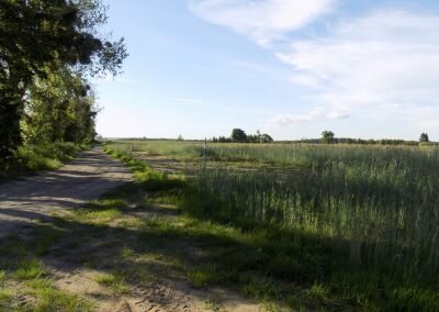 DSCN0695