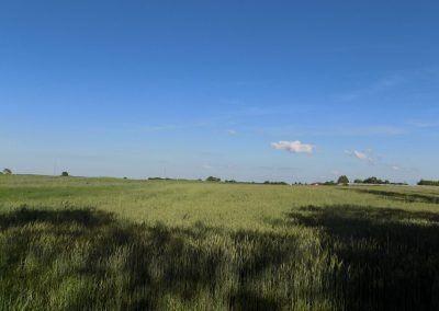 DSCN0700